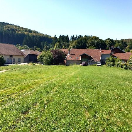 Gite Le Geleinfete II Vosges A Proximite De Gerardmer Herpelmont Екстериор снимка